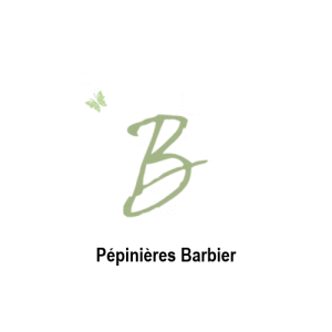 Noalhyt-7-Pépinières BARBIER